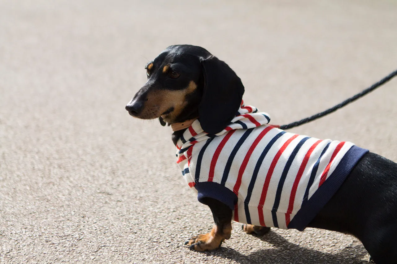 Hoodie Nautical Stripes