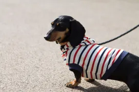 Hoodie Nautical Stripes