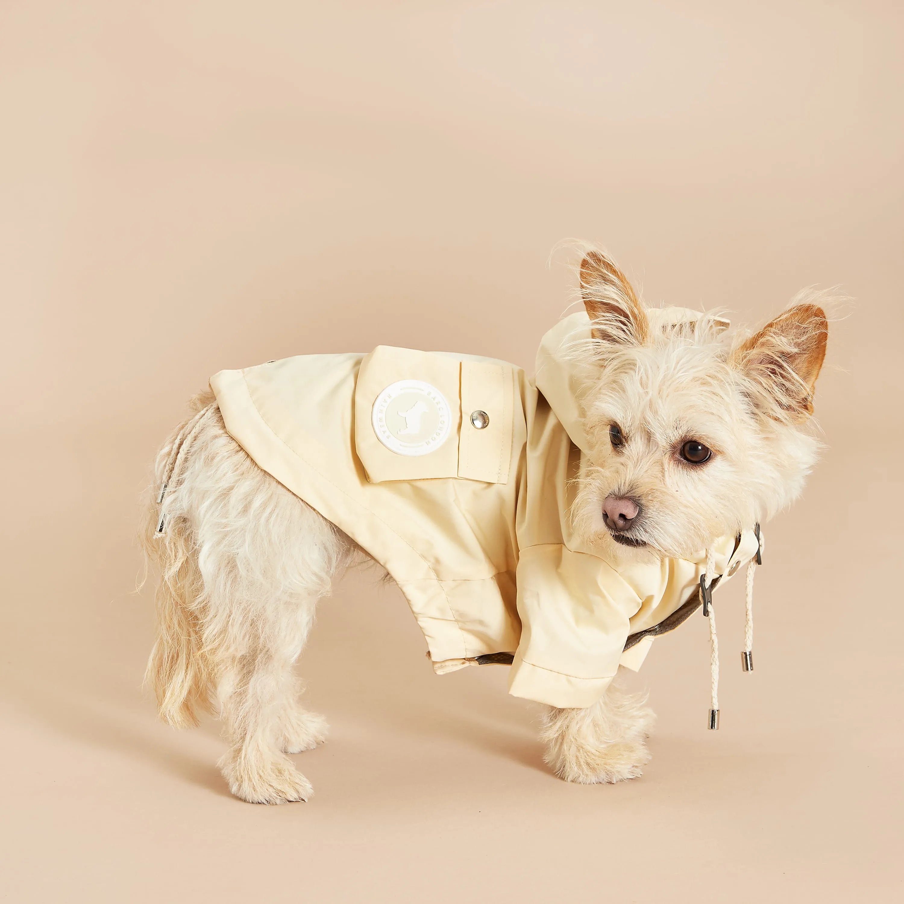 Original Yellow Dog Raincoat