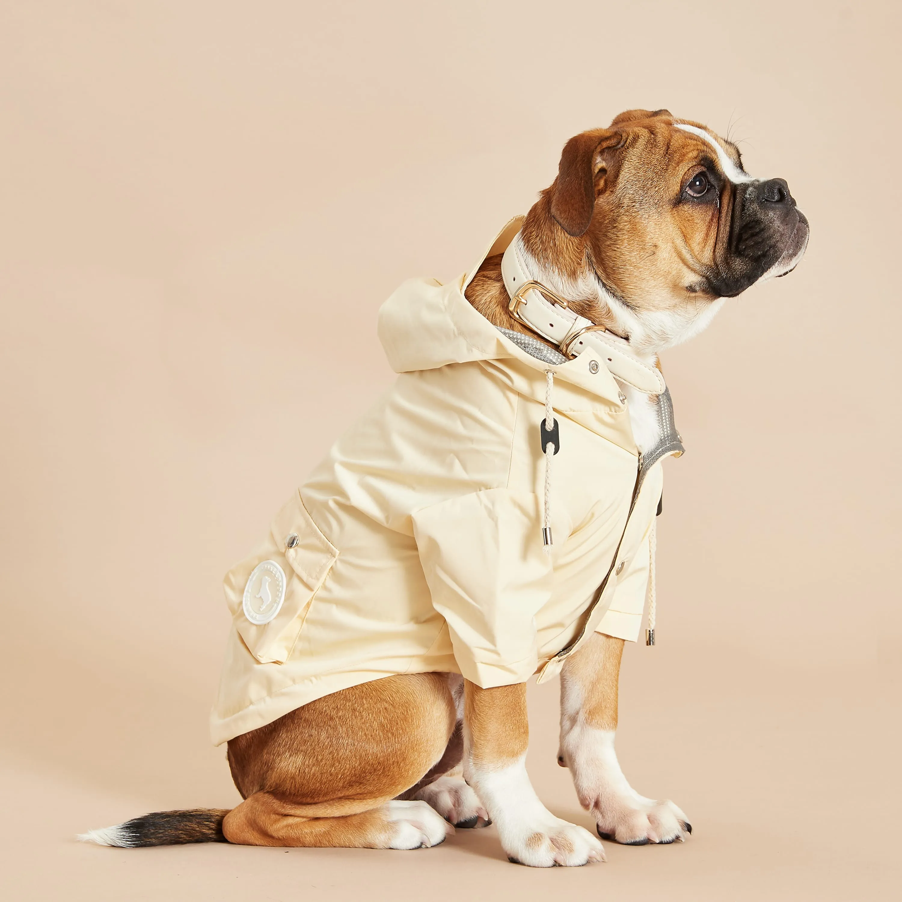 Original Yellow Dog Raincoat