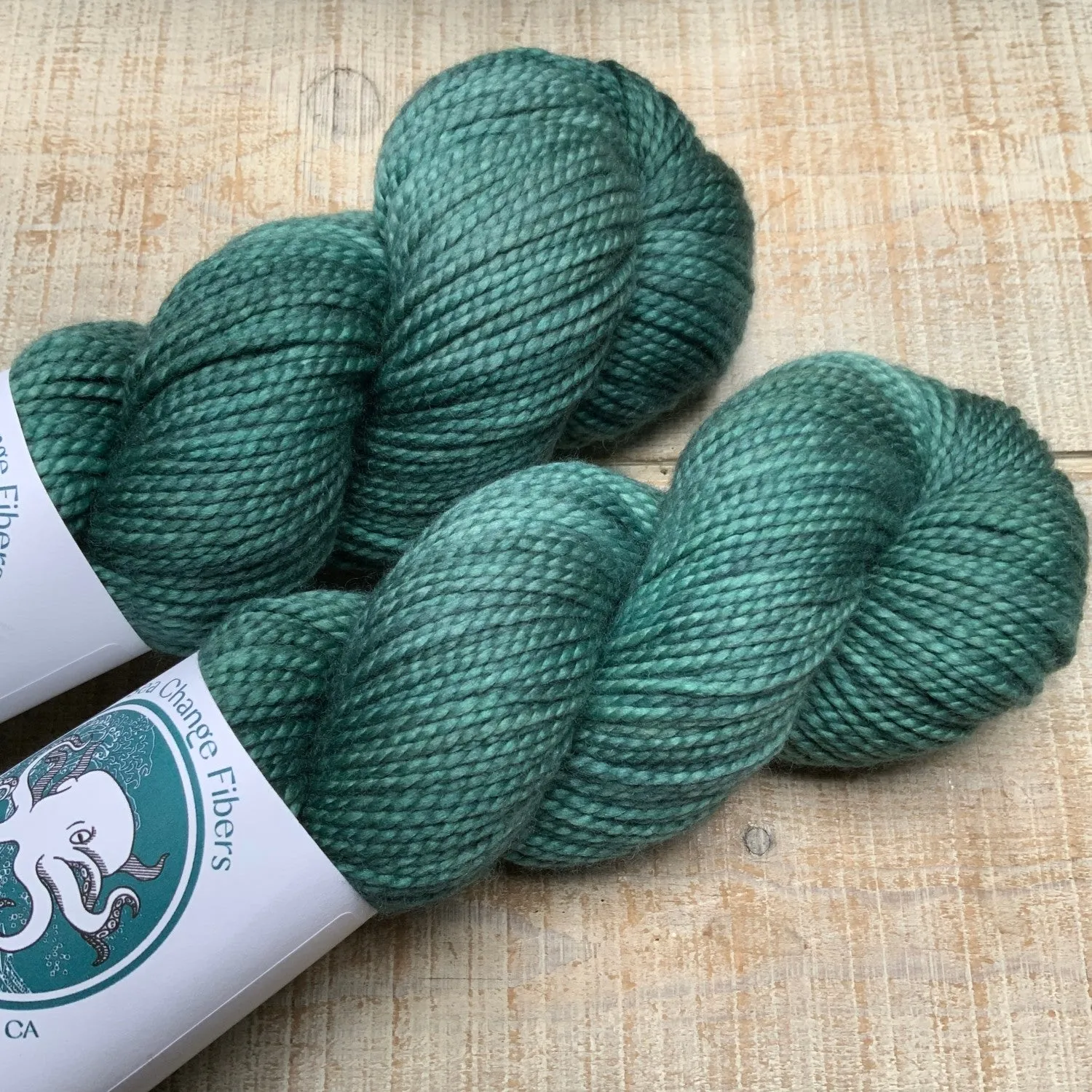 Sea Change Fibers (The Dye Project)-Ecola Worsted