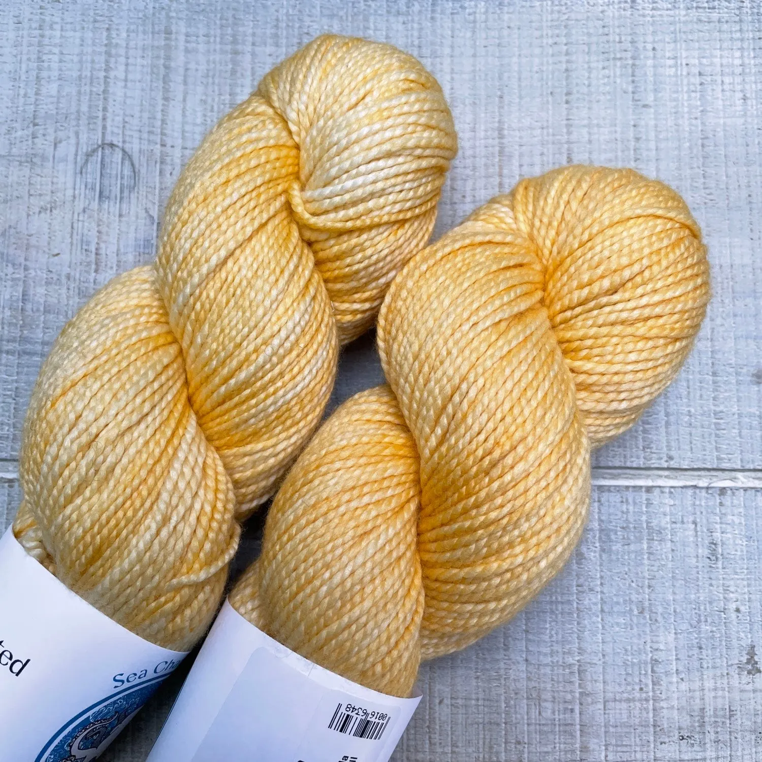Sea Change Fibers (The Dye Project)-Ecola Worsted